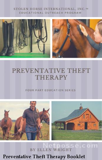 Preventative Theft Therapy Booklet